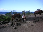 Enlarge photo 171