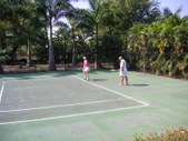 Enlarge photo 183