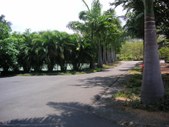 Enlarge photo 205