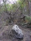 Enlarge photo 232