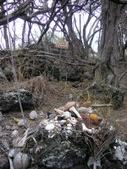 Enlarge photo 234