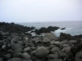 Enlarge photo 240