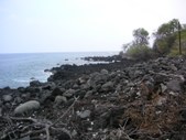 Enlarge photo 241