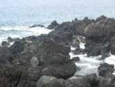 Enlarge photo 242