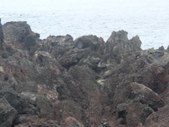 Enlarge photo 243