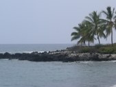 Enlarge photo 250