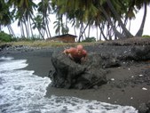 Enlarge photo 252