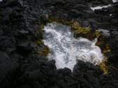 Enlarge photo 258