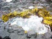 Enlarge photo 260