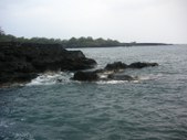 Enlarge photo 262