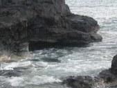 Enlarge photo 263