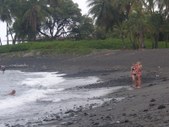 Enlarge photo 264