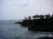Enlarge photo 270