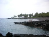 Enlarge photo 271
