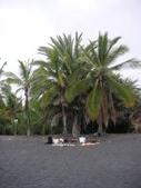 Enlarge photo 284