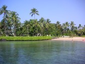 Enlarge photo 299