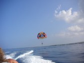 Enlarge photo 305