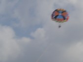 Enlarge photo 306