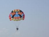 Enlarge photo 307
