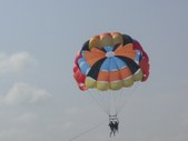 Enlarge photo 308