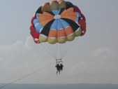 Enlarge photo 309