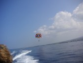 Enlarge photo 316