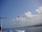 Enlarge photo 317