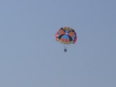 Enlarge photo 318