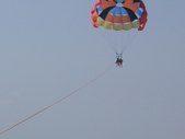 Enlarge photo 319