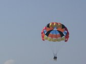 Enlarge photo 320