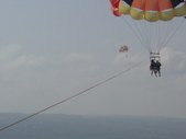 Enlarge photo 321