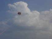 Enlarge photo 330