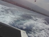 Enlarge photo 331