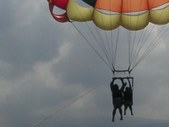 Enlarge photo 332