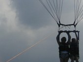 Enlarge photo 333