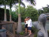 Enlarge photo 347