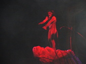 Enlarge photo 178