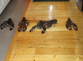 Enlarge photo 202