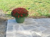 Enlarge photo 39