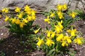 Enlarge photo 107