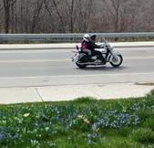 Enlarge photo 112