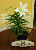 Enlarge photo 13
