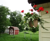 Enlarge photo 26