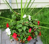Enlarge photo 27