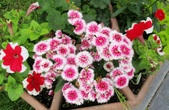 Enlarge photo 31