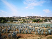 Enlarge photo 30