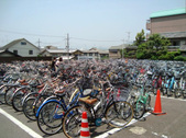 Enlarge photo 40