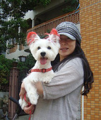 Enlarge photo 43