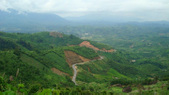 Enlarge photo 54