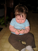 Enlarge photo 45